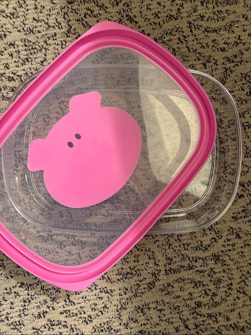Ham/Bacon Fridge Container - Picture 3 of 3